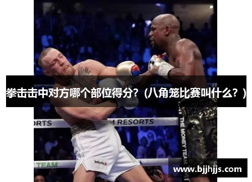 拳击击中对方哪个部位得分？(八角笼比赛叫什么？)