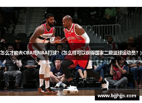怎么才能去CBA或NBA打球？(怎么样可以获得国家二级篮球运动员？)